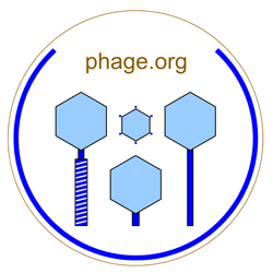 phage.org logo, showing the family of bacteriophages
