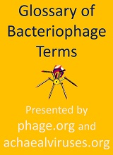 Bacteriophage first-issue cover